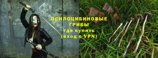 PSILOCYBIN Бронницы
