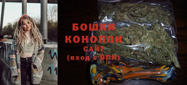 PSILOCYBIN Бронницы