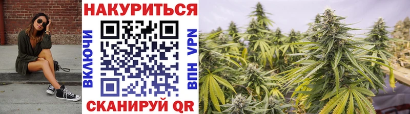 Купить  Находка  Каннабис тримм 